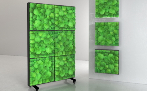 Bio Canvas