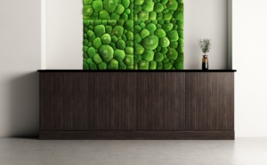Bio Canvas, Union Storage Credenza