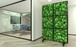 Bio Canvas