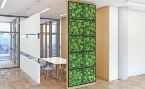 Bio Canvas