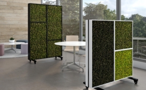 Bio Canvas, Oscar, Coast