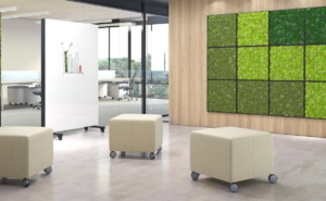 Bio Canvas, Coast