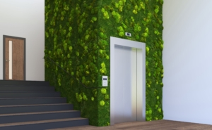 Bio Canvas
