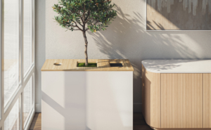 Max Planter, Ollie Credenza