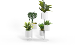 2-Stem Configuration