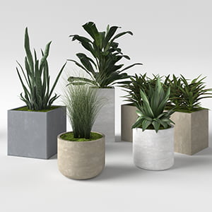 Savi Planter