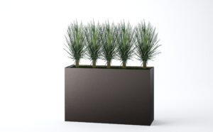 Wall