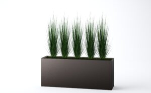 Wall