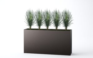 Wall