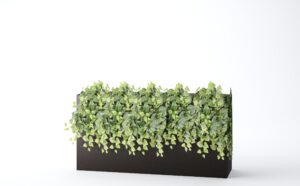 Wall