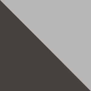 Black Wheel - Silver Hub