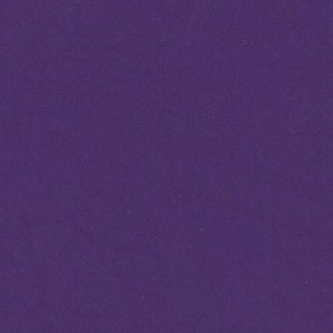 Playground Purple